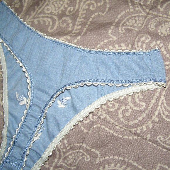 NWOT size Small Stretchy COTTON Thong Cute Blue Floral Embroidery - Picture 4 of 9